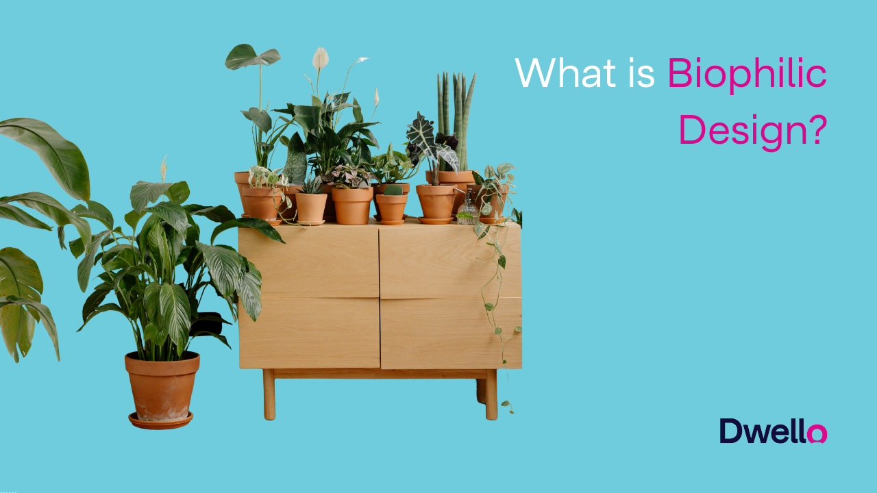 Biophilic Design Interior Design Tips
