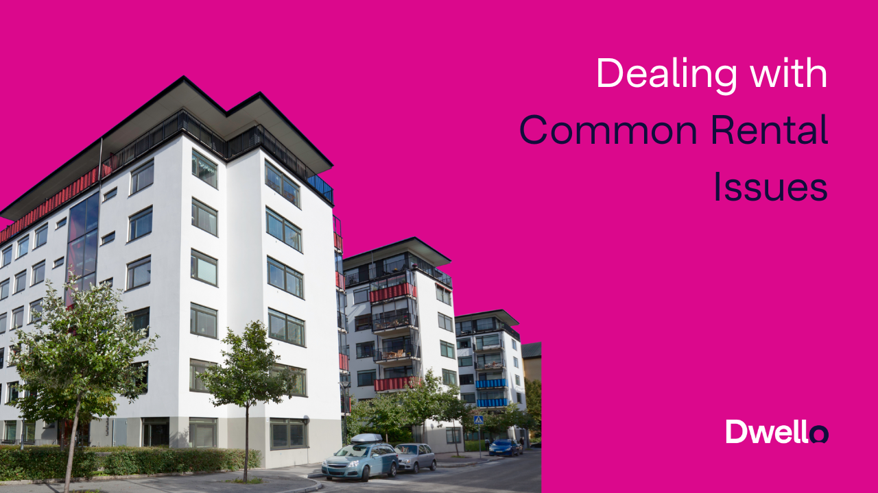 Dealing with Common Rental Issues