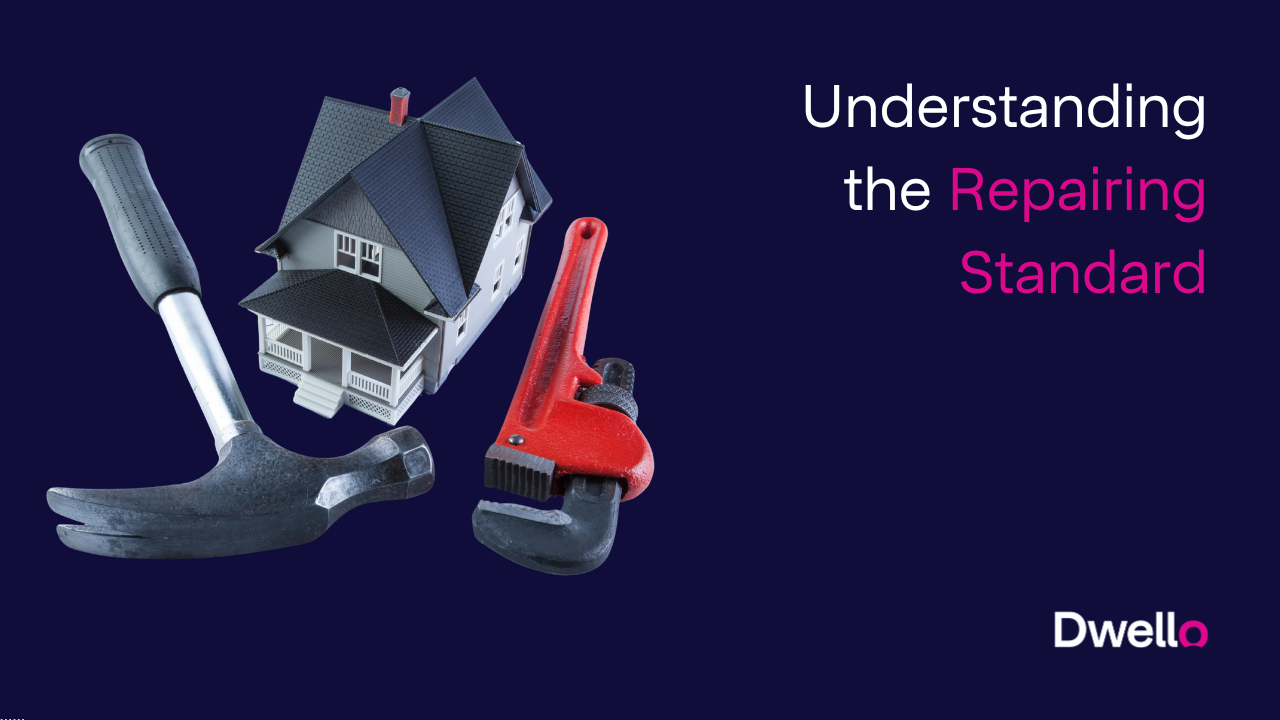 Understanding the Repairing Standard